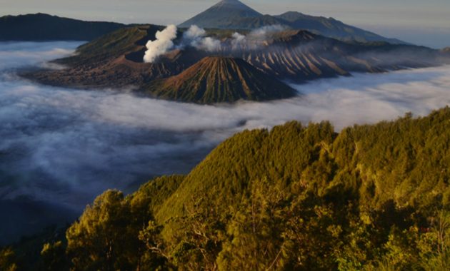 Mount Bromo Waterfall Tour